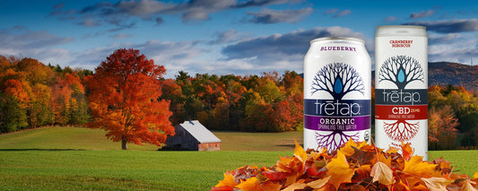 Rooted in Love: What Real Trētap Fans Are Saying About Our Seltzers