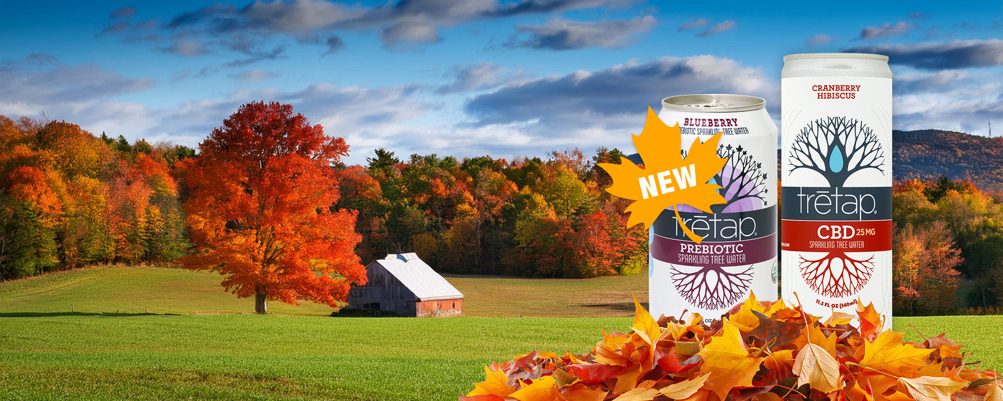 trētap Organic Sparkling Tree Water Made in Vermont