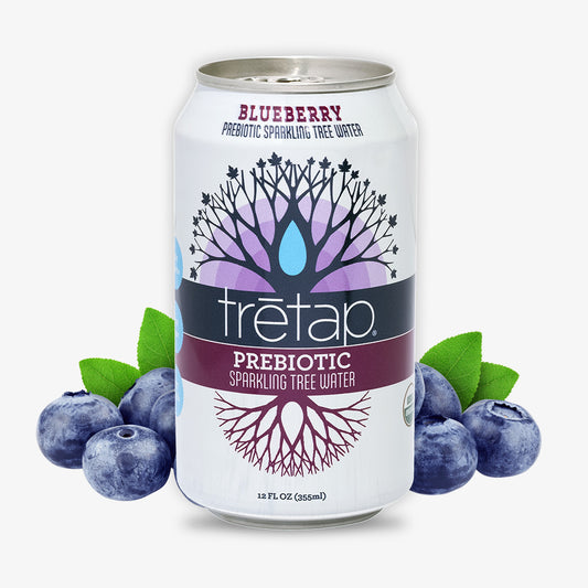 Wild Blueberry Prebiotic Sparkling Tree Water
