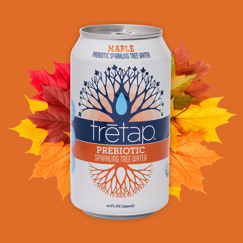 Real Maple Prebiotic Sparkling Tree Water